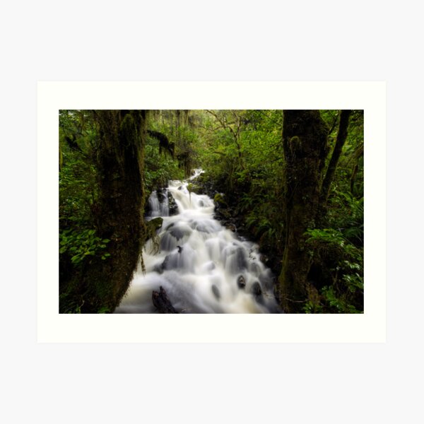 In the Middle of the Green Art Print