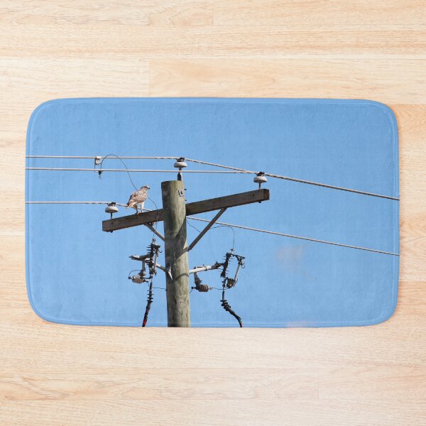 Item preview, Red Tailed Hawk on Telephone Pole 3 designed and sold by Susie Kramer.