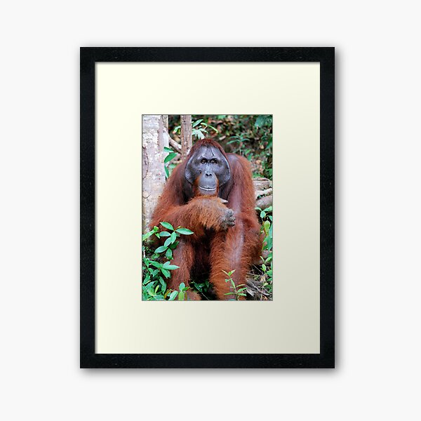 Uranus - Watching us Framed Art Print