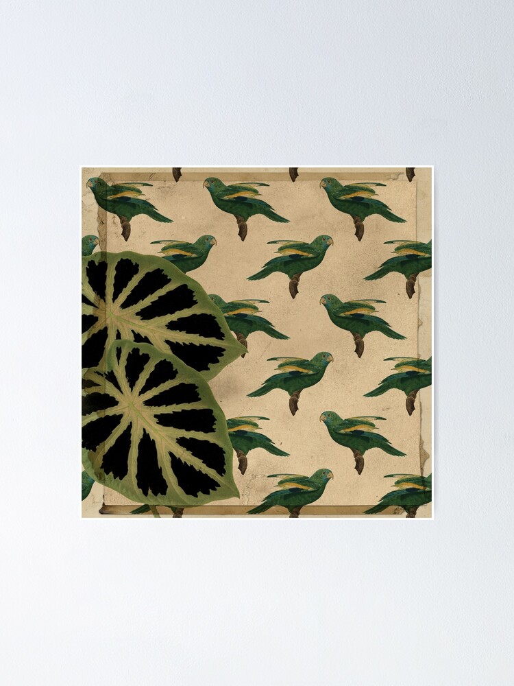 Thumbnail 1 von 3, Poster, Vintage Retro Parrot Bird Ephemera Pattern  designt und verkauft von digitalvintage.