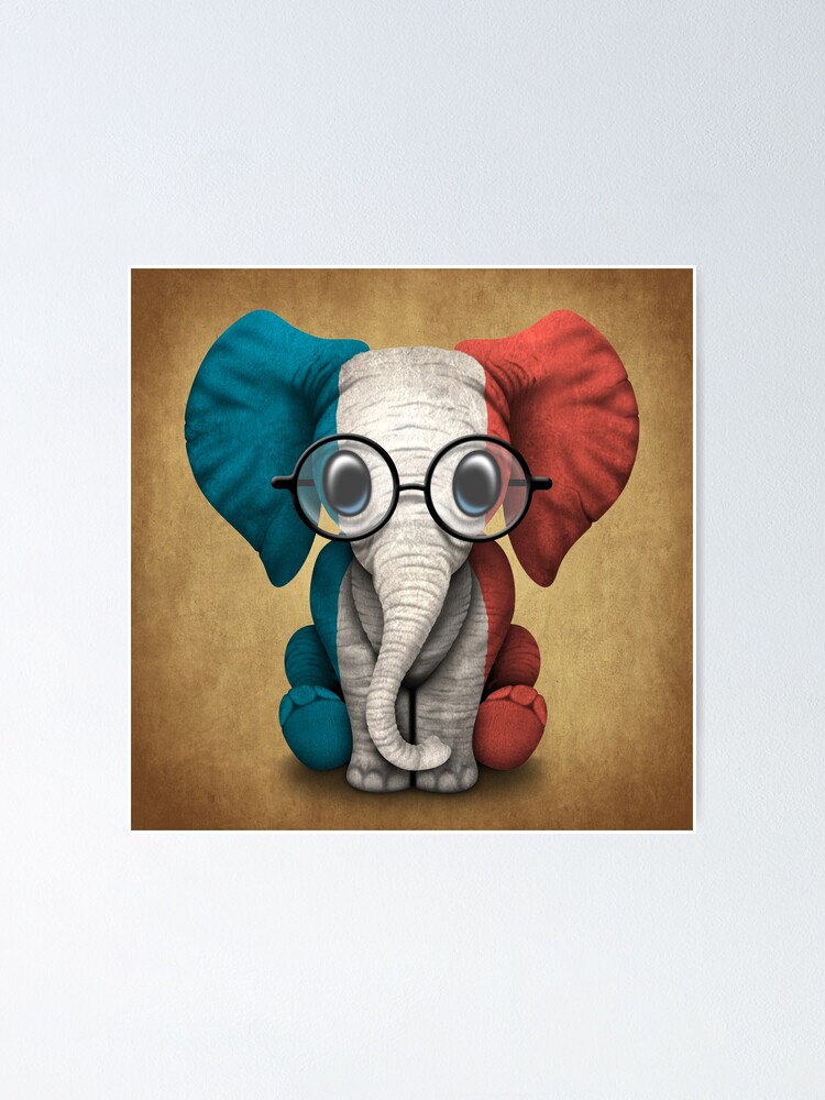 Poster Bebe Elefante Con Gafas Y Bandera Francesa De Jeffbartels Redbubble