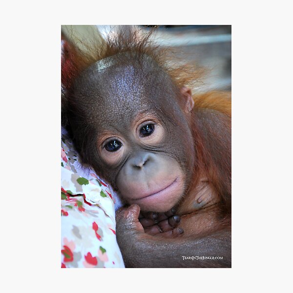 A Beautiful Baby Photographic Print