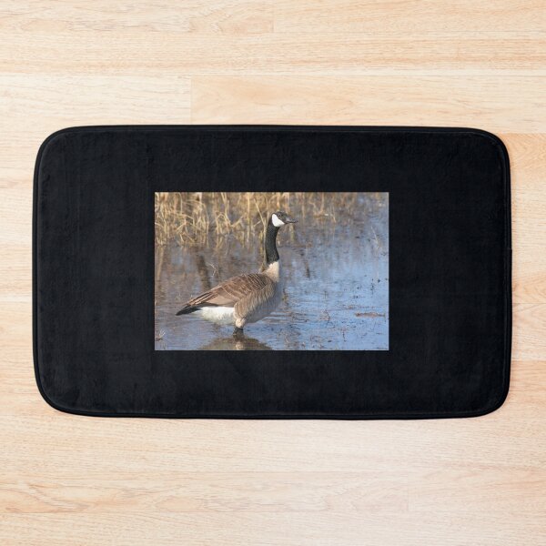 Item preview, Goose walking in water designed and sold by stephenralph.