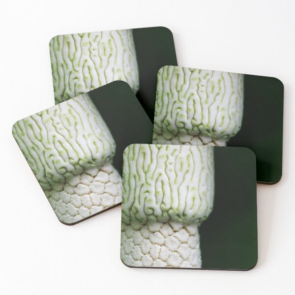 Item preview, Grey Matter designed and sold by chuckirina.