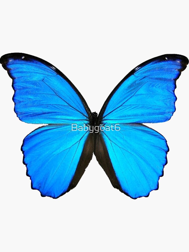 "Blue butterfly emoji " Sticker for Sale by Babygoat6 Redbubble