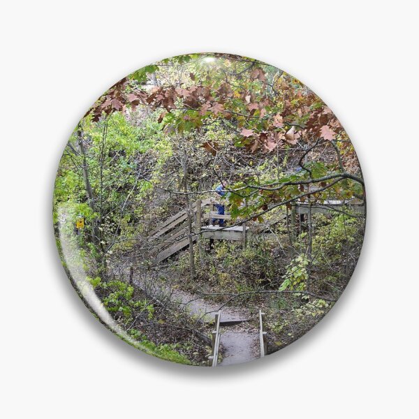 Artikelvorschau, Stairs at Starved Rock, Illinois entworfen und verkauft von circa24.