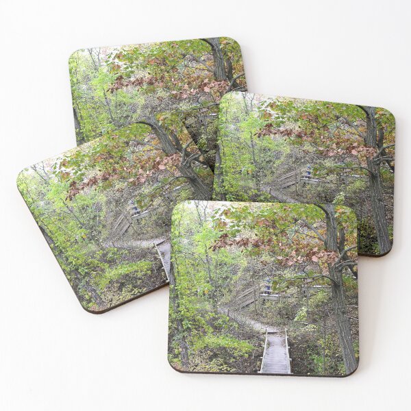 Item preview, Stairs at Starved Rock, Illinois designed and sold by circa24.