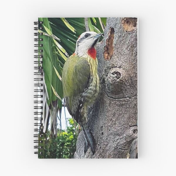 Item preview, Cuban Green Woodpecker designed and sold by vette.