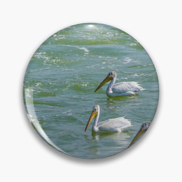 Artikelvorschau, Pelicans entworfen und verkauft von circa24.