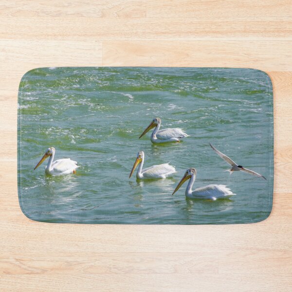 Item preview, Pelicans designed and sold by circa24.