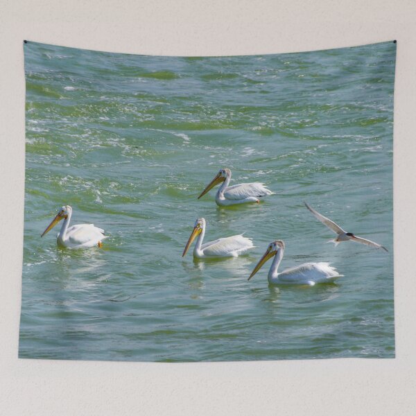 Item preview, Pelicans designed and sold by circa24.