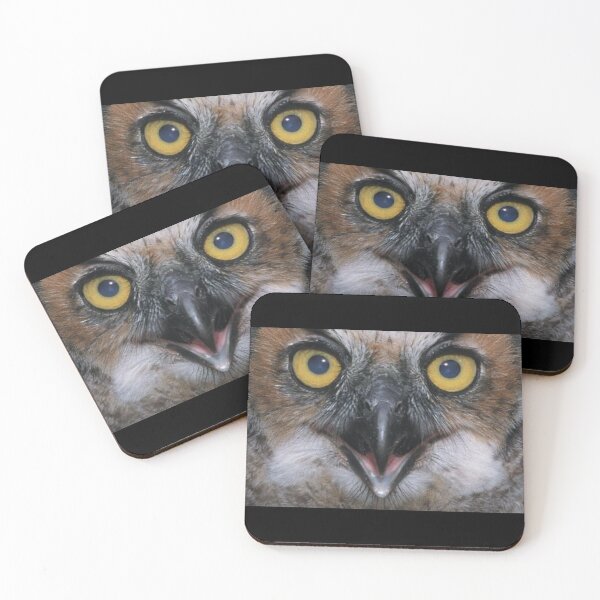 Item preview, Owl Face Mask designed and sold by weavernap.