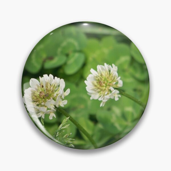 Artikelvorschau, Beautiful Clover entworfen und verkauft von Nora Caswell.