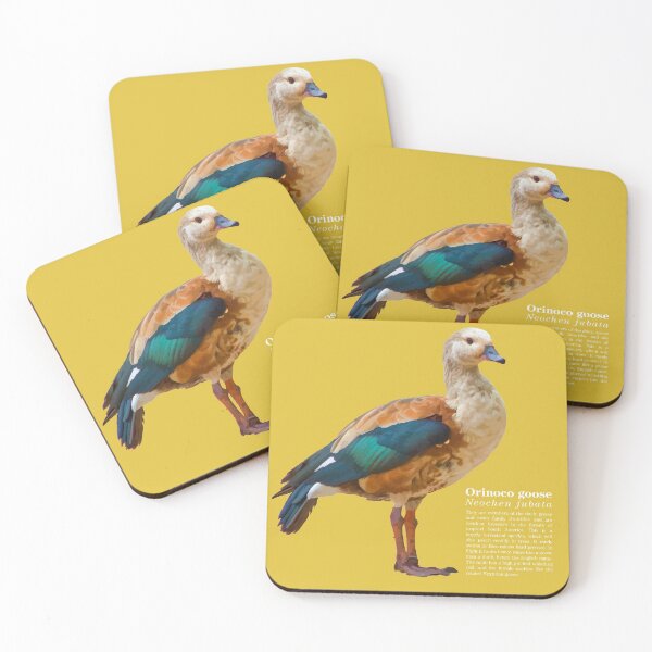 Item preview, Orinoco goose bird on dry grass designed and sold by Mauricio Acosta.