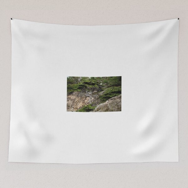 Item preview, Old Veteren Cypress Tree II designed and sold by GeorgeBuxbaum.