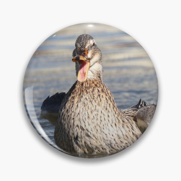Item preview, Angry mallard designed and sold by GreyFeatherPhot.