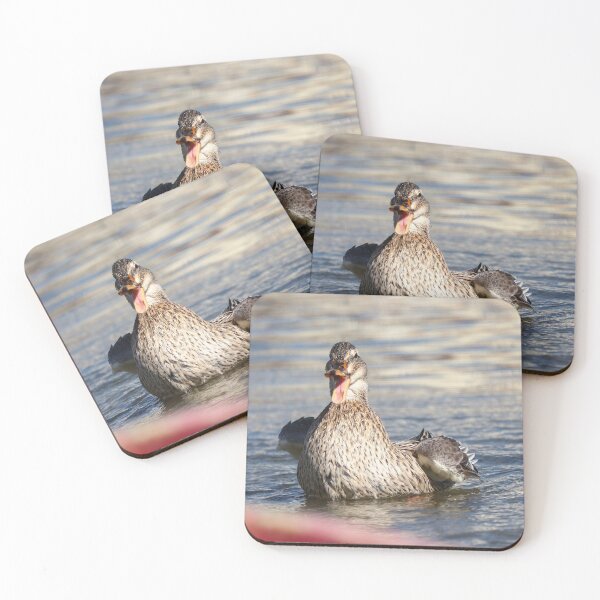 Item preview, Angry mallard designed and sold by GreyFeatherPhot.