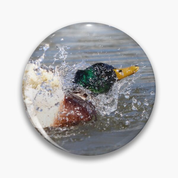 Item preview, Mallard bathing I designed and sold by GreyFeatherPhot.