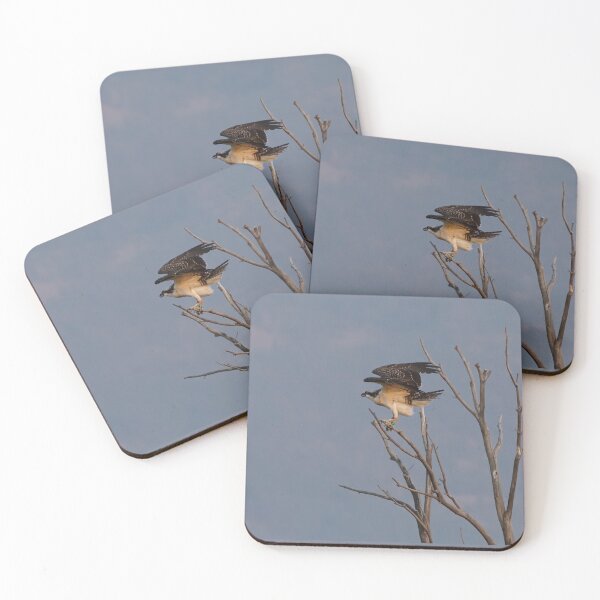 Item preview, An Osprey Preparing for Takeoff designed and sold by MomentofPercep.