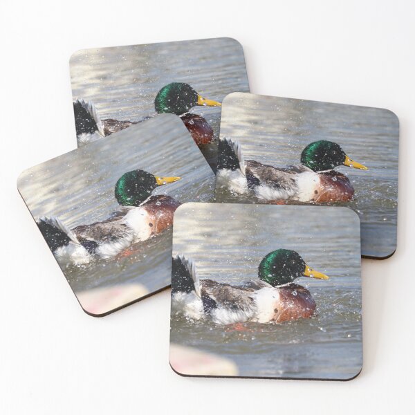 Item preview, Mallard bathing II designed and sold by GreyFeatherPhot.