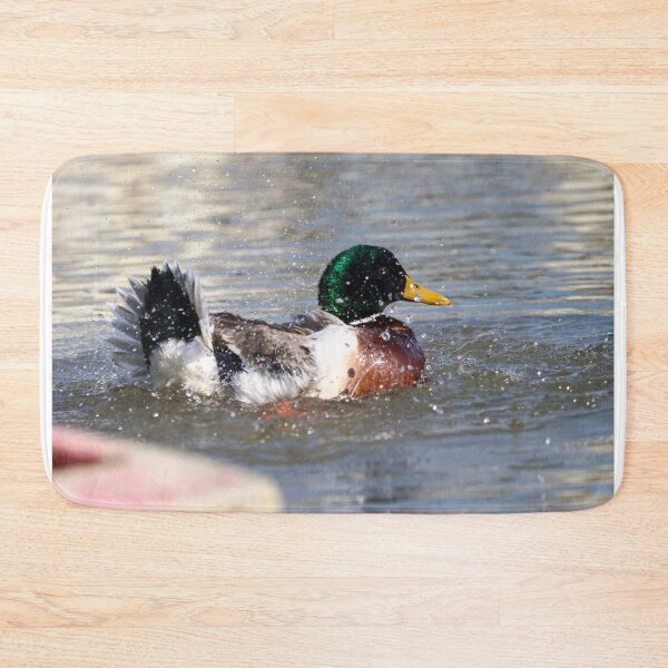 Item preview, Mallard bathing II designed and sold by GreyFeatherPhot.