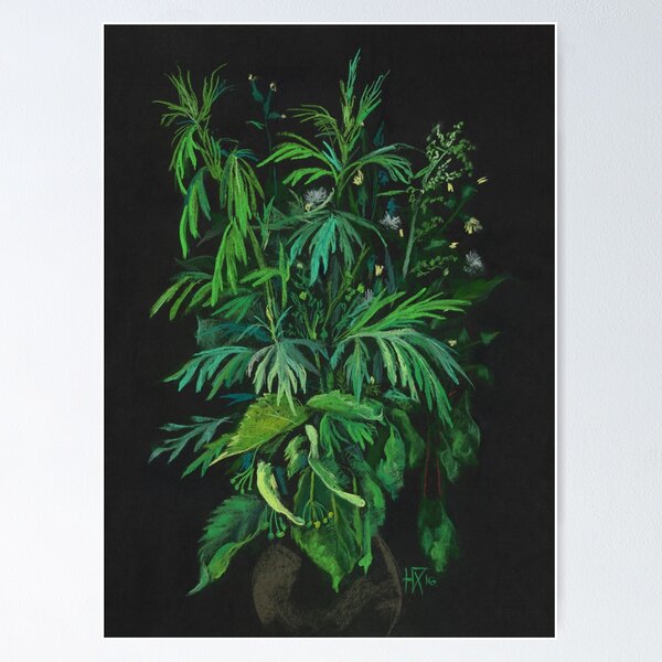 Item preview, Green and Black, Summer Plants Floral Art designed and sold by Julia Khoroshikh.