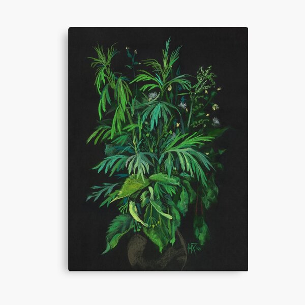 Green and Black, Summer Greenery, Colorful Floral  Canvas Print