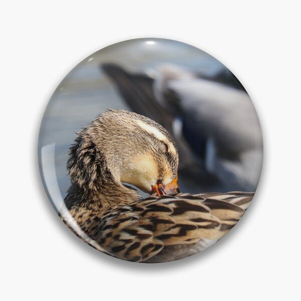 Item preview, Synchronised preening designed and sold by GreyFeatherPhot.
