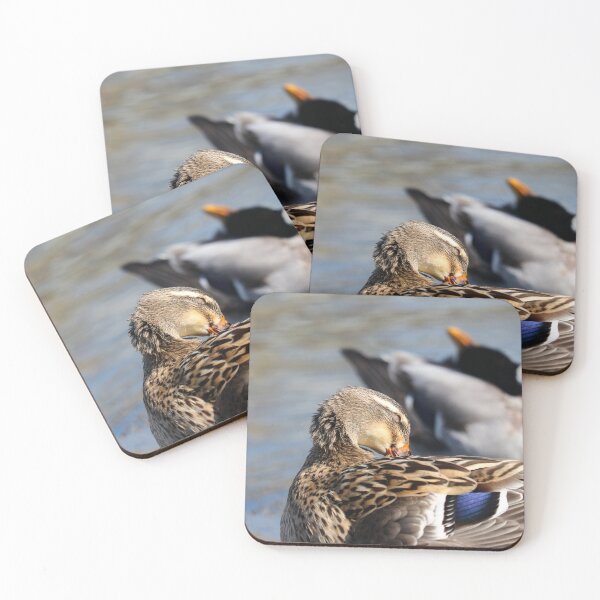 Item preview, Synchronised preening designed and sold by GreyFeatherPhot.
