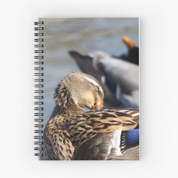 Item preview, Synchronised preening designed and sold by GreyFeatherPhot.