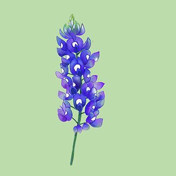 Artwork thumbnail, Texas Bluebonnet by Zendays