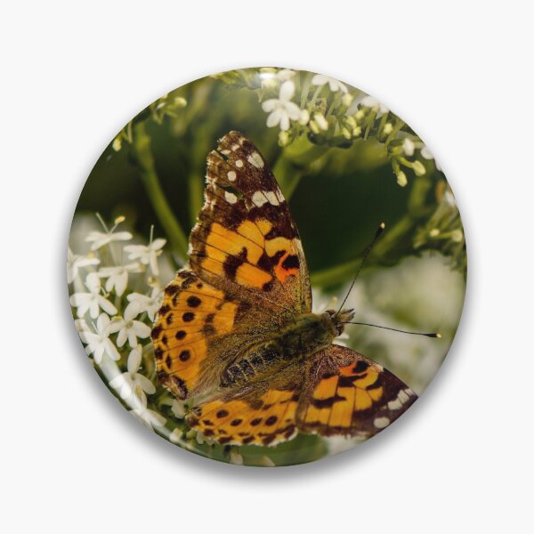 Item preview, Monarch on white flowers designed and sold by Angela Adams.