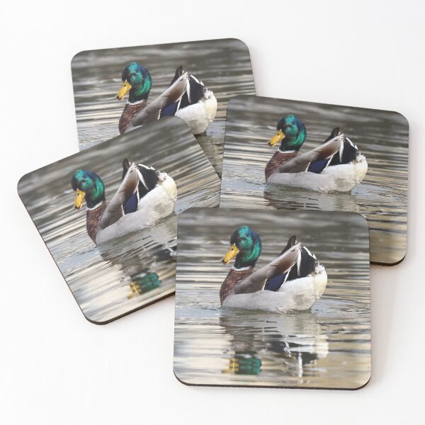 Item preview, Mallard tail-up designed and sold by GreyFeatherPhot.
