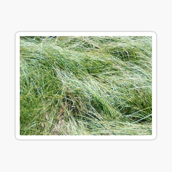 Item preview, grassy designed and sold by pat946.