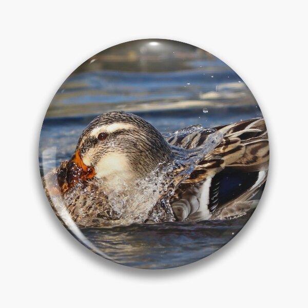 Item preview, Water off a duck's back designed and sold by GreyFeatherPhot.