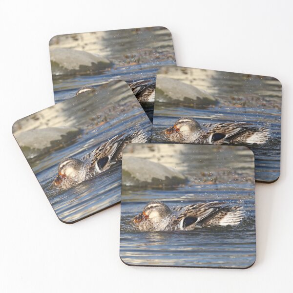 Item preview, Water off a duck's back designed and sold by GreyFeatherPhot.