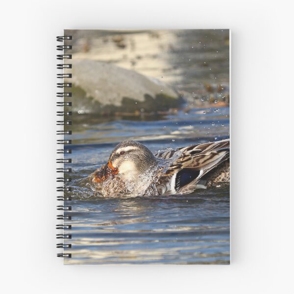 Item preview, Water off a duck's back designed and sold by GreyFeatherPhot.