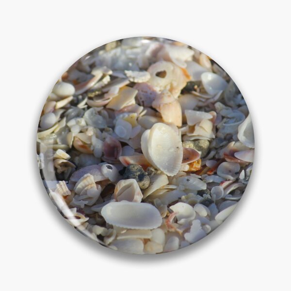 Item preview, Seashells from Sanibel Island designed and sold by PhilipBrown.