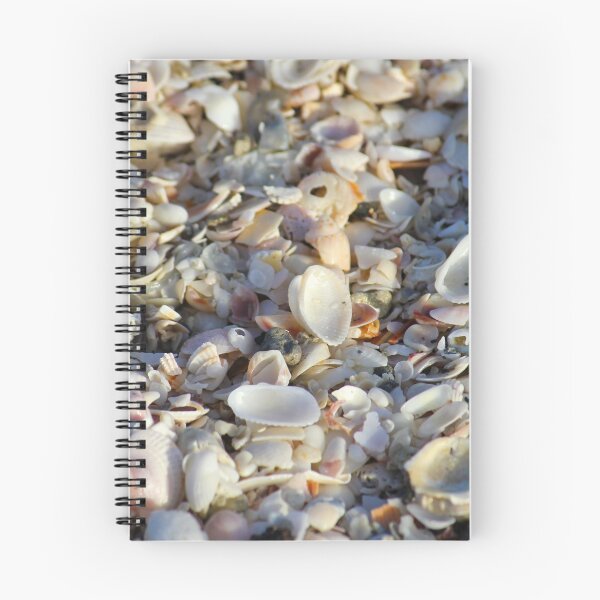 Item preview, Seashells from Sanibel Island designed and sold by PhilipBrown.