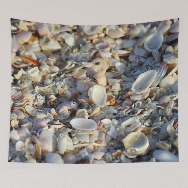Item preview, Seashells from Sanibel Island designed and sold by PhilipBrown.