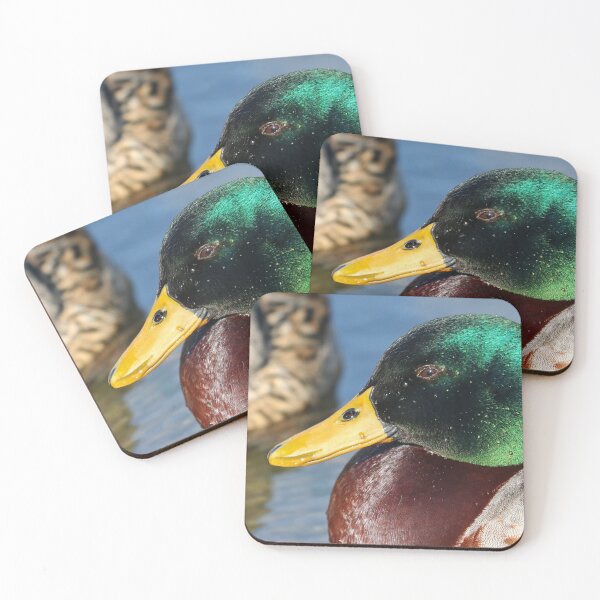 Item preview, Mallard drake close up designed and sold by GreyFeatherPhot.