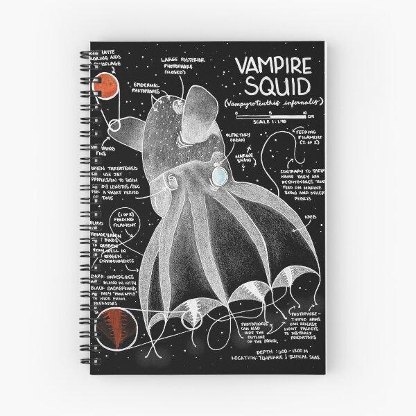 Item preview, Vampire Squid - Deep Sea Creatures Collection designed and sold by Tatum Updegraff.