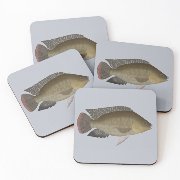 Item preview, Mozambique tilapia designed and sold by fishfolkart.