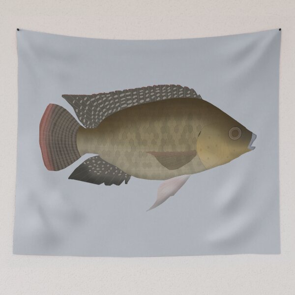 Item preview, Mozambique tilapia designed and sold by fishfolkart.
