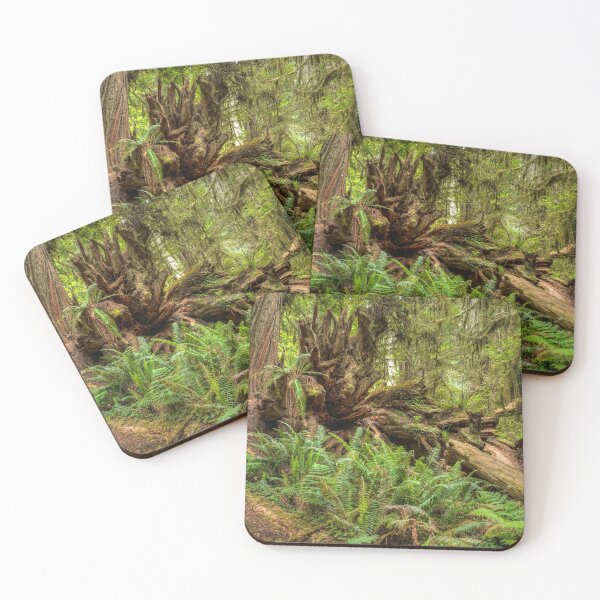 Item preview, Natural Disorder -  Redwoods NP designed and sold by GeorgeBuxbaum.