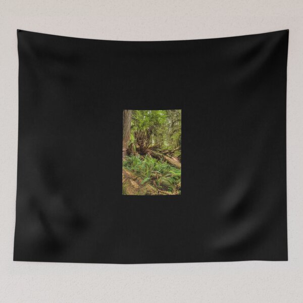 Item preview, Natural Disorder -  Redwoods NP designed and sold by GeorgeBuxbaum.
