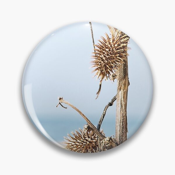 Item preview, Dried Burdock branch on sandy desert and coastline background. designed and sold by IaroslavB.
