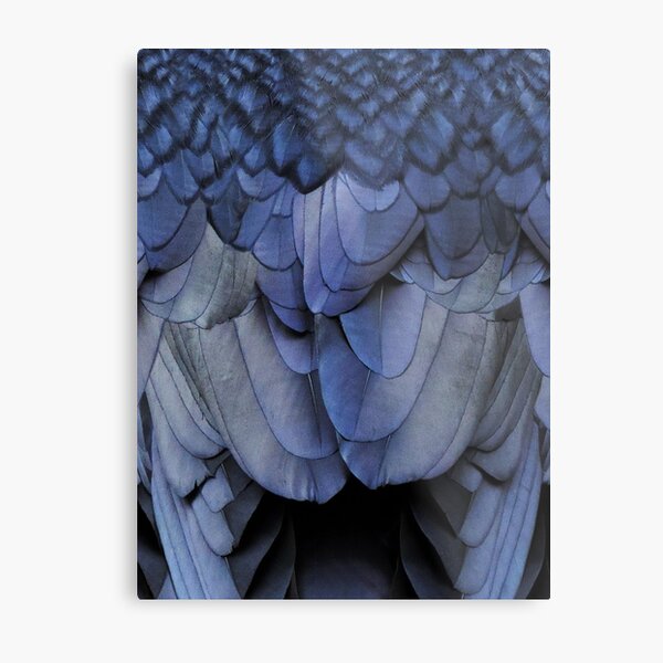 Raven Metal Print