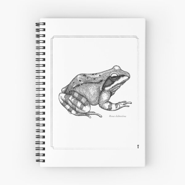 Item preview, Rana dalmatina, scientific illustration designed and sold by terribleinfante.