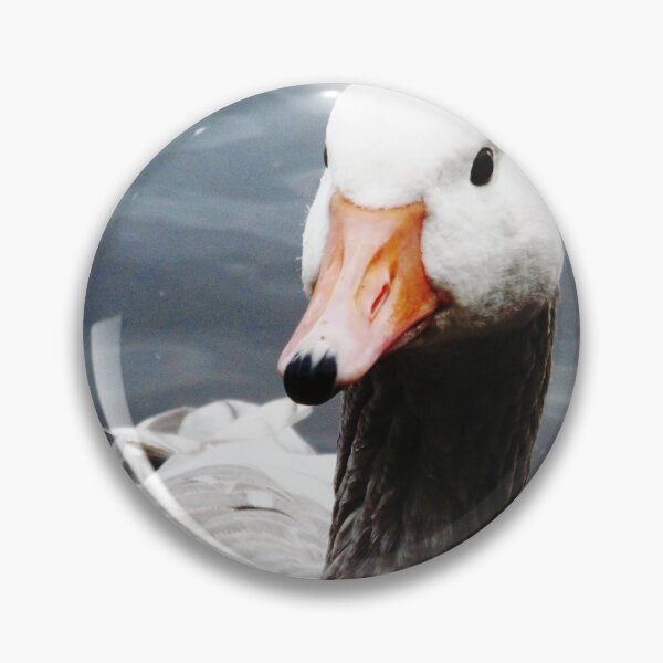 Item preview, swan Lake designed and sold by snaphappy1.